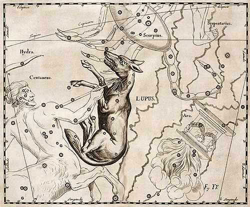 Созвездие Волк в атласе Гевелия, 1690.